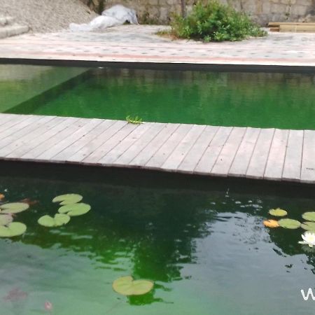 Gite Les Cabanes De Fallot Pour 15 Personnes - Piscine Naturelle L'isle-Bouzon Exteriér fotografie