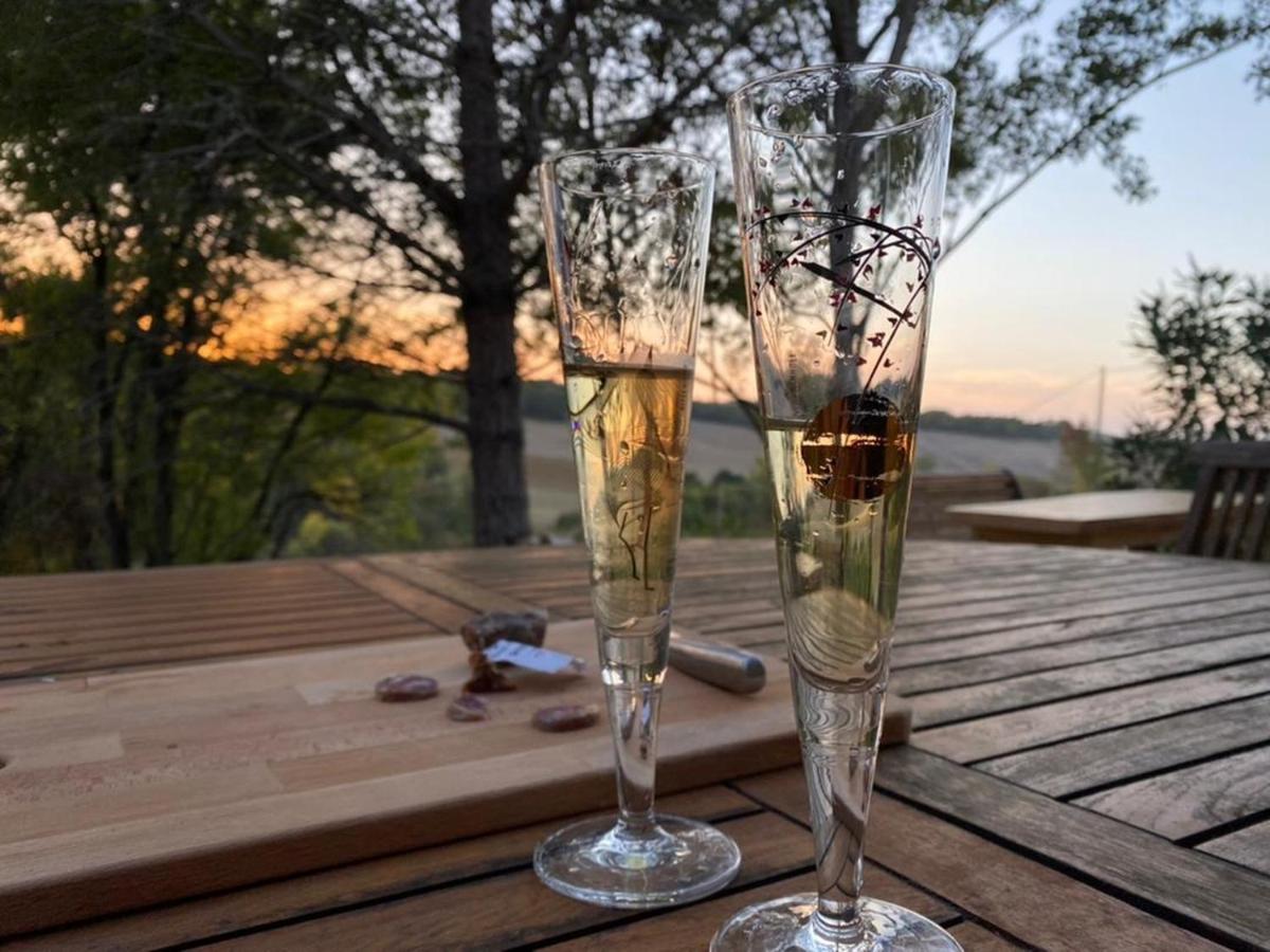 Gite Les Cabanes De Fallot Pour 15 Personnes - Piscine Naturelle L'isle-Bouzon Exteriér fotografie
