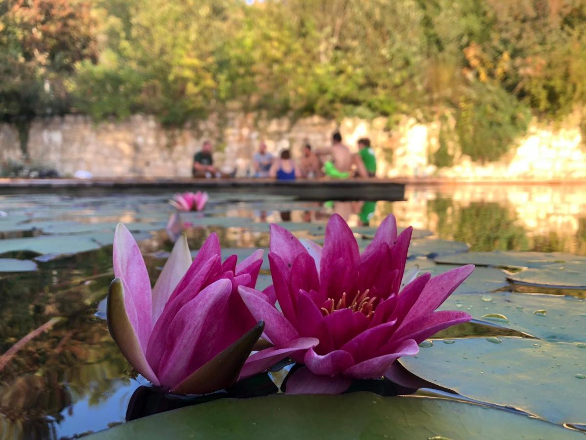Gite Les Cabanes De Fallot Pour 15 Personnes - Piscine Naturelle L'isle-Bouzon Exteriér fotografie