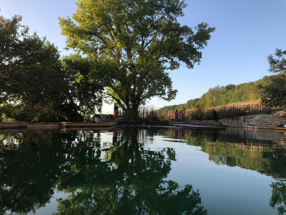 Gite Les Cabanes De Fallot Pour 15 Personnes - Piscine Naturelle L'isle-Bouzon Exteriér fotografie